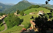Al Pizzo Grande e al Monte Molinasco da Alino di S. Pellegrino il 25 maggio 2020-FOTOGALLERY